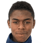 player-logo