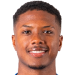 player-logo