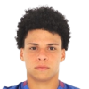 Emerson Lima Freitas