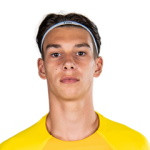 player-logo