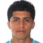 player-logo