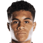 player-logo