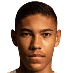 Vinicius Balieiro Lourenco De Carvalho