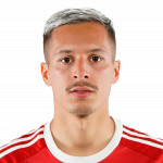 player-logo
