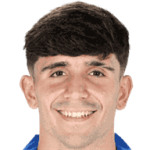 player-logo