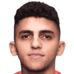 Ahmed Nabil Ashour Abdelaal