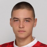 N. Djekovic