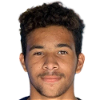 player-logo