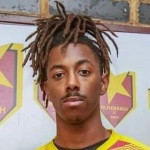 player-logo
