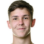 player-logo