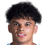 player-logo