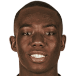 player-logo