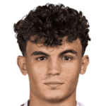 player-logo
