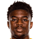 player-logo