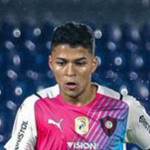 player-logo