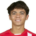 player-logo