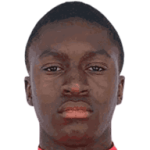 player-logo