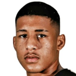 player-logo