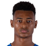 player-logo