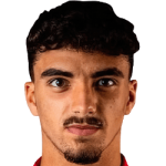 player-logo