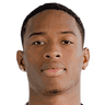 player-logo