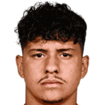 Miguel Carvalho Vianna