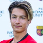 player-logo