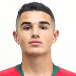 player-logo
