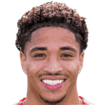 player-logo