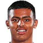 player-logo