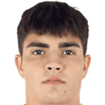 player-logo