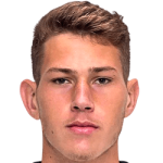 Joao Victor Tornich