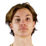Lucas Vayrynen