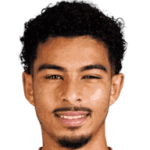 player-logo