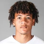 Joel Marcel Schingtienne
