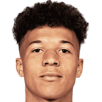 player-logo