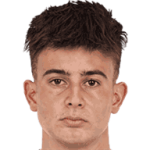 player-logo