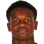player-logo