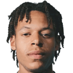 player-logo