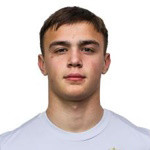 Andrej Mladenovic
