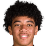 player-logo
