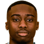 player-logo