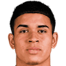 player-logo