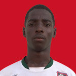 player-logo