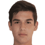 Diego Andres Monreal Villablanca