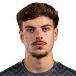 Jose Guilherme Ribeiro