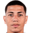 player-logo