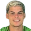 Paulo Ricardo Alves Ibelli