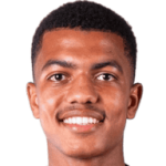 player-logo