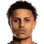 player-logo